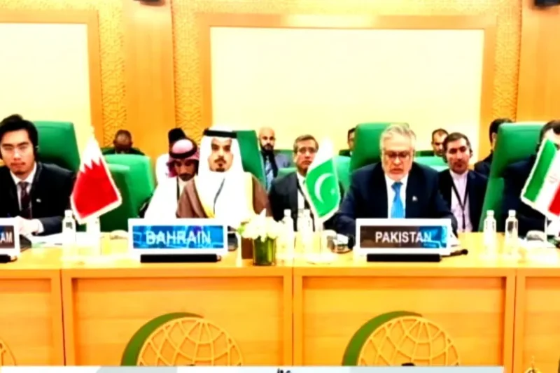 صومالیہ کی ترقی اوراستحکام کونقصان پہنچانے کی اجازت نہیں دی جائے گی، اسحاق ڈار