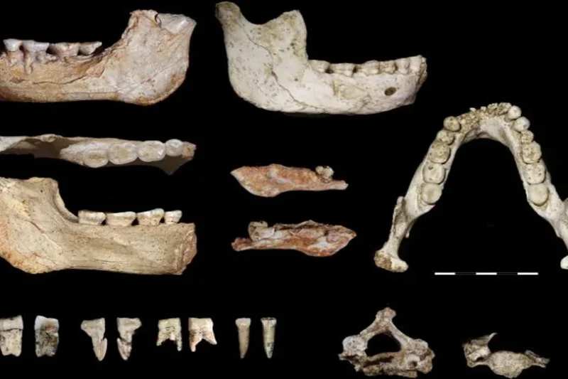 مراکش کے غار سے انسانی ارتقاء کے اہم مرحلے کی باقیات دریافت