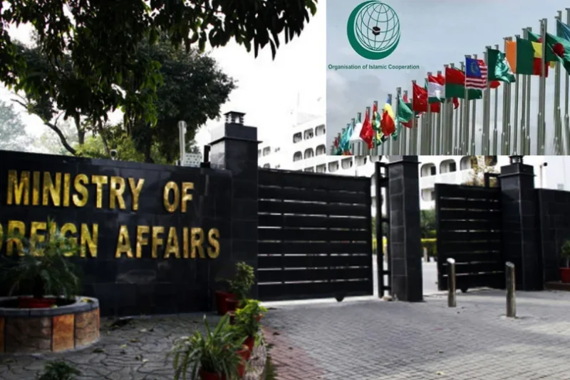 او آئی سی اور 23 مسلم ممالک نے اسرائیلی عہدیدار کے صومالی لینڈ دورے کو مسترد کردیا